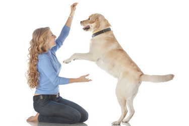 Similar image 5508558