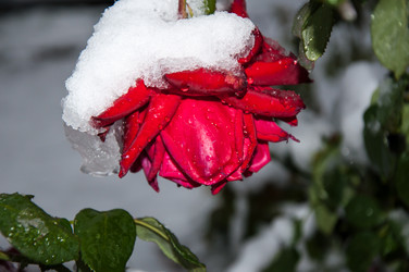 Similar image 5508561