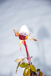 Similar image 5508563