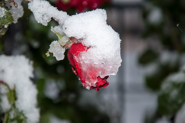 Similar image 5508564