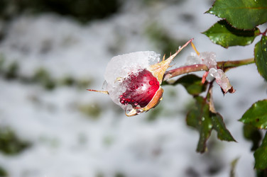 Similar image 5508575