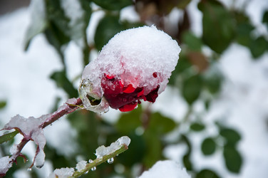 Similar image 5508577