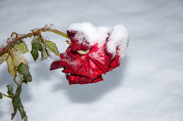 Similar image 5508580