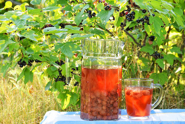 Similar image 5508649