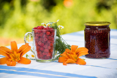 Similar image 5508665