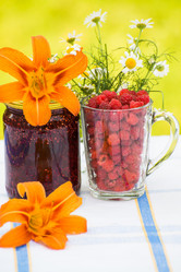 Similar image 5508667