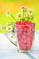 Similar image 5508668