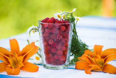 Similar image 5508669