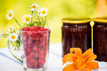 Similar image 5508674