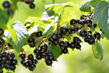 Similar image 5508692