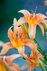 Similar image 5508923