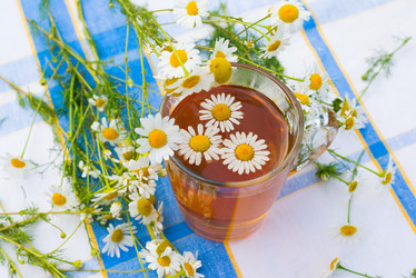 Similar image 5508948