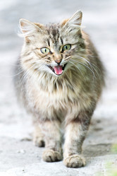 Similar image 5508949