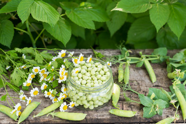 Similar image 5508973