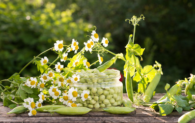 Similar image 5508976