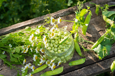 Similar image 5508977