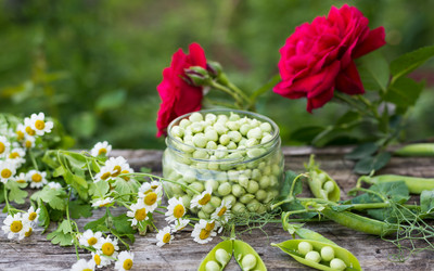 Similar image 5508981