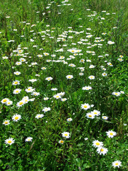 Similar image 5509018