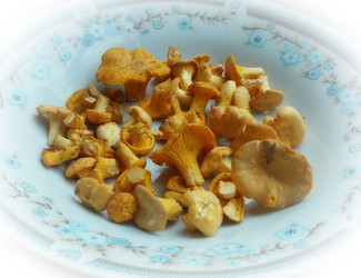 Similar image 5509023