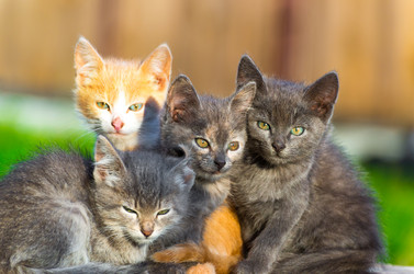 Similar image 5509033