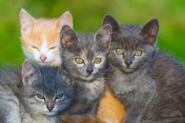 Similar image 5509034