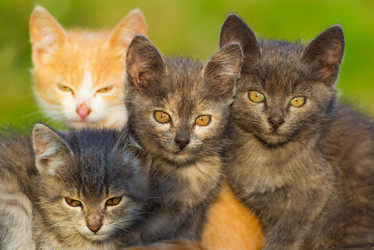 Similar image 5509039