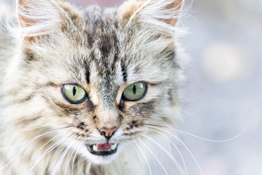 Similar image 5509047