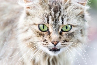 Similar image 5509048