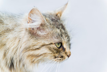 Similar image 5509049