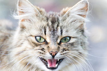 Similar image 5509072