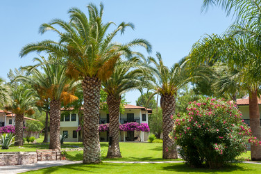 Similar image 5509088