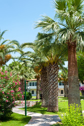 Similar image 5509089