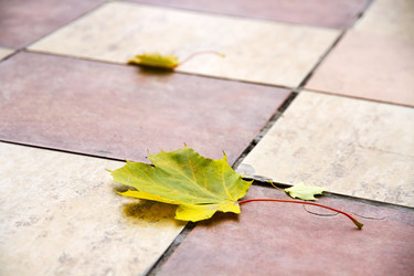 Similar image 5509267