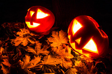 Similar image 5509276