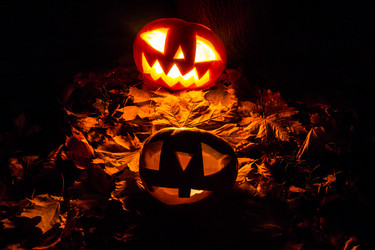 Similar image 5509278