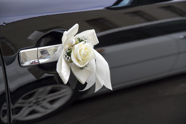 Similar image 5509279