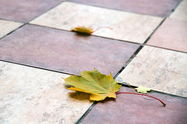 Similar image 5509281