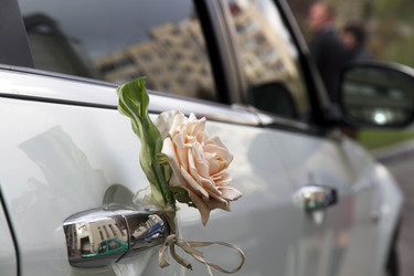 Similar image 5509282