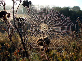 Similar image 5509283