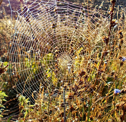 Similar image 5509285