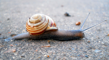 Similar image 5509286