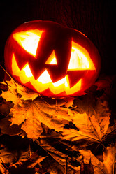 Similar image 5509292