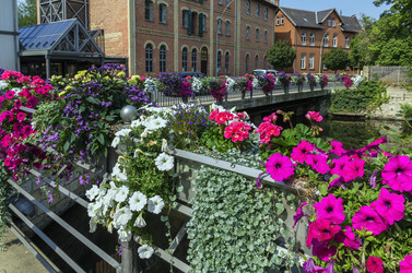 Similar image 5509370