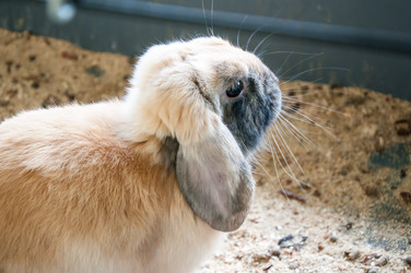 Similar image 5509375