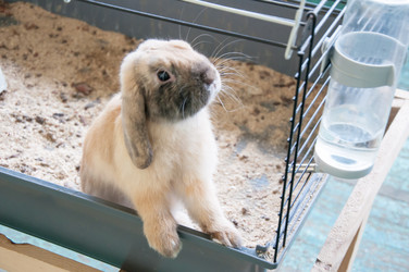 Similar image 5509376