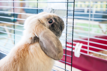 Similar image 5509377