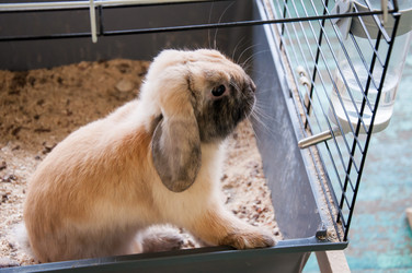 Similar image 5509378