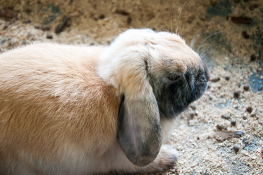 Similar image 5509381