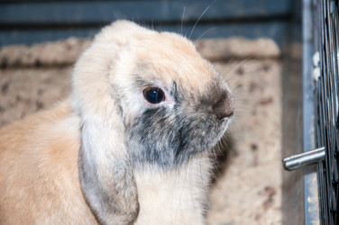 Similar image 5509382