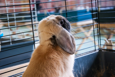 Similar image 5509383